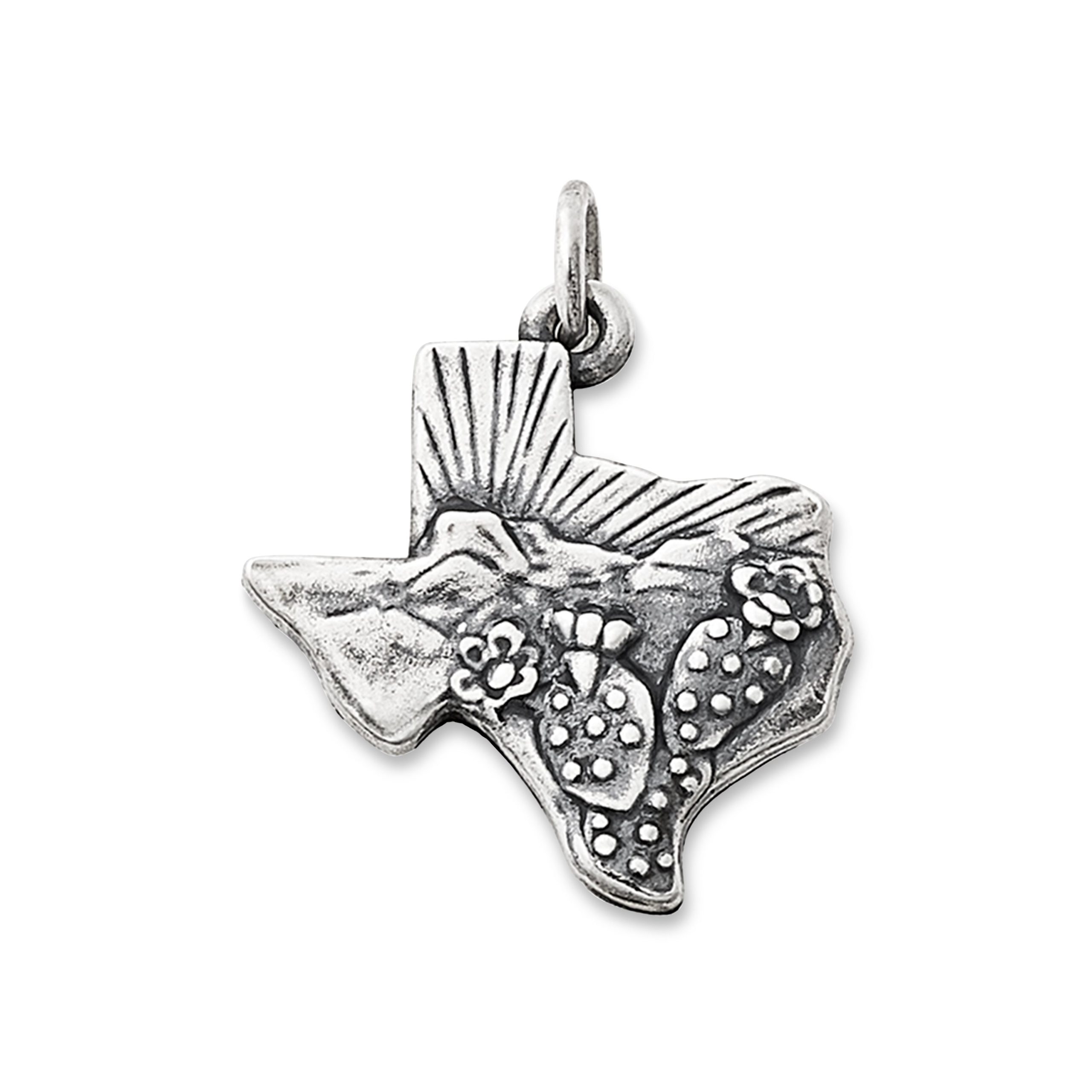 Texas Landscape Charm - Image 2