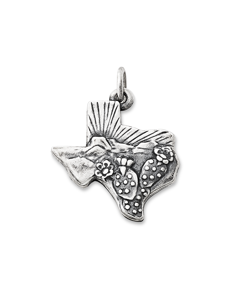 Texas Landscape Charm - Image 3